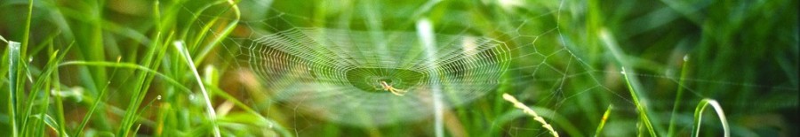 Photo by Kevin Utting