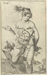 Casseri plate
